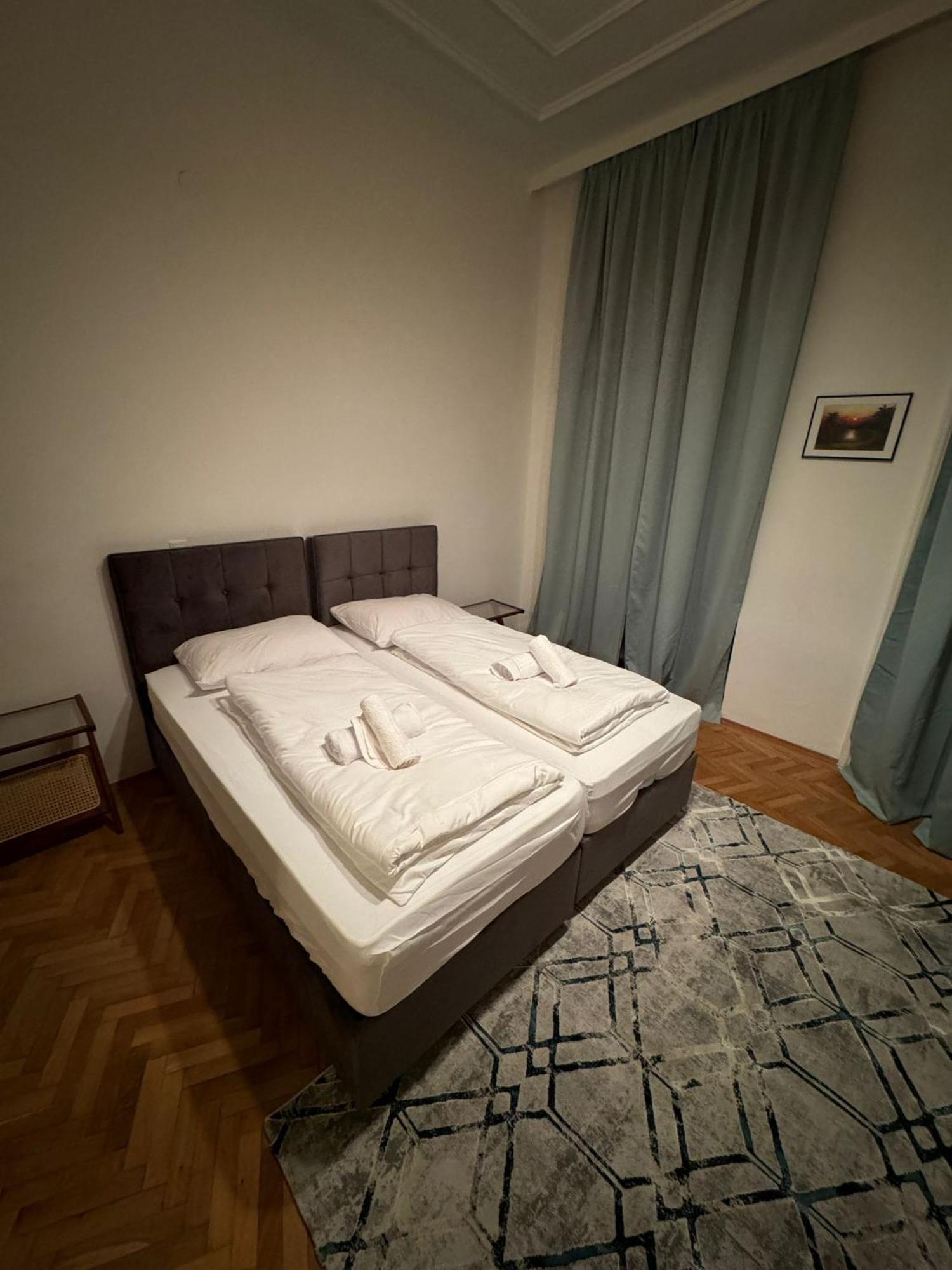 Centrally-Located Authentic Apartment 维也纳 外观 照片